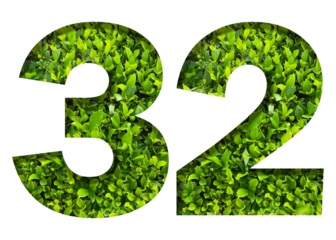 number 32 from green leaves  isolated on transparent background. suitable for birthday, anniversary and memorial day templates.