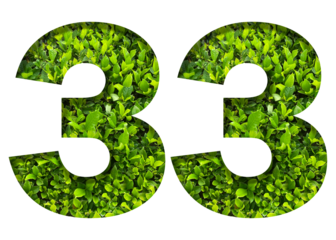 number 33 from green leaves  isolated on transparent background. suitable for birthday, anniversary and memorial day templates.