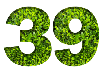 number 39 from green leaves  isolated on transparent background. suitable for birthday, anniversary and memorial day templates.