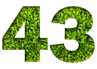 number 43 from green leaves  isolated on transparent background. suitable for birthday, anniversary and memorial day templates.