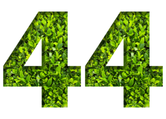 number 44 from green leaves  isolated on transparent background. suitable for birthday, anniversary and memorial day templates.