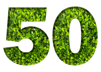number 50 from green leaves isolated on transparent background. suitable for birthday, anniversary and memorial day templates.