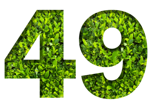 number 49 from green leaves isolated on transparent background. suitable for birthday, anniversary and memorial day templates.