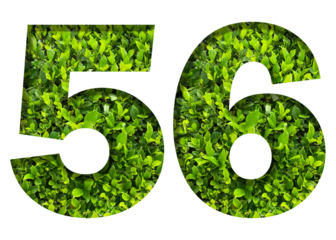 number 56 from green leaves  isolated on transparent background. suitable for birthday, anniversary and memorial day templates.