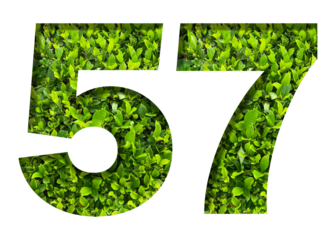 number 57 from green leaves isolated on transparent background. suitable for birthday, anniversary and memorial day templates.