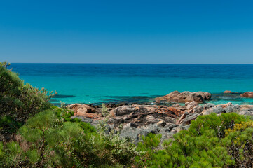 Scenic rocky Australian shoreline with bright blue water and green pines, ideal for website backgrounds, travel brochures, or wellness branding.