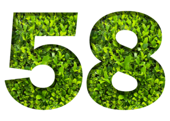 number 58 from green leaves  isolated on transparent background. suitable for birthday, anniversary and memorial day templates.