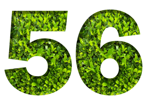 number 56 from green leaves isolated on transparent background. suitable for birthday, anniversary and memorial day templates.