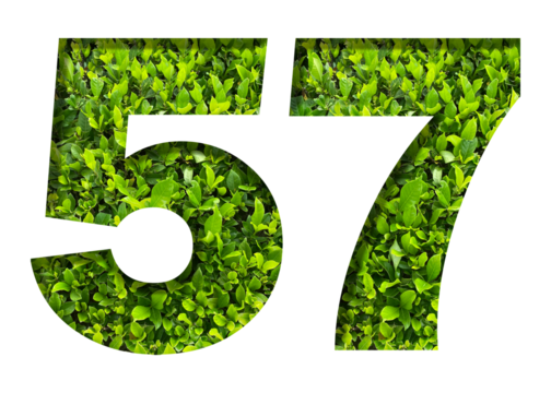 number 57 from green leaves  isolated on transparent background. suitable for birthday, anniversary and memorial day templates.