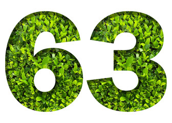 number 63 from green leaves  isolated on transparent background. suitable for birthday, anniversary and memorial day templates.