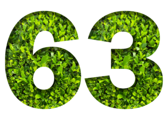 number 63 from green leaves  isolated on transparent background. suitable for birthday, anniversary and memorial day templates.