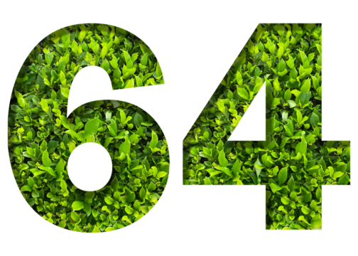 number 64 from green leaves isolated on transparent background. suitable for birthday, anniversary and memorial day templates.