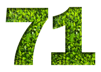 number 71 from green leaves  isolated on transparent background. suitable for birthday, anniversary and memorial day templates.