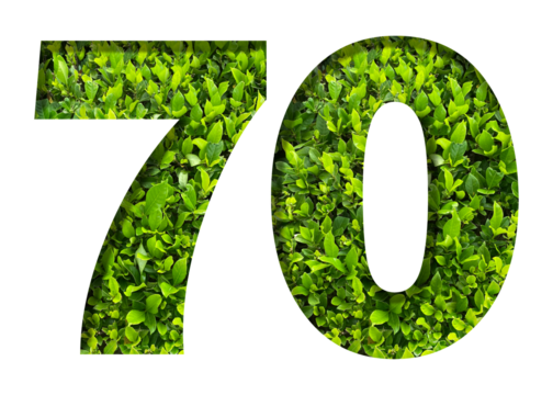 number 70 from green leaves  isolated on transparent background. suitable for birthday, anniversary and memorial day templates. - Powered by Adobe