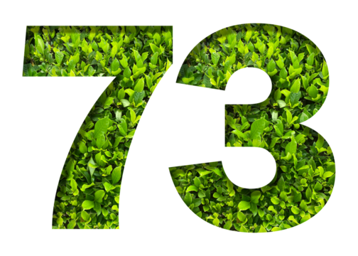 number 73 from green leaves  isolated on transparent background. suitable for birthday, anniversary and memorial day templates.