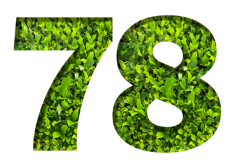 number 78 from green leaves  isolated on transparent background. suitable for birthday, anniversary and memorial day templates.