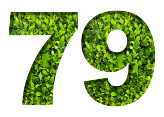number 79 from green leaves isolated on transparent background. suitable for birthday, anniversary and memorial day templates.