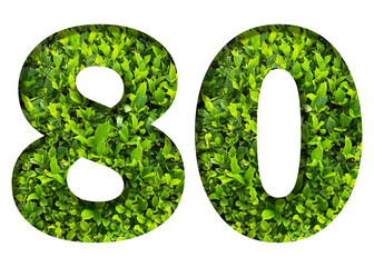 number 80 from green leaves  isolated on transparent background. suitable for birthday, anniversary and memorial day templates.