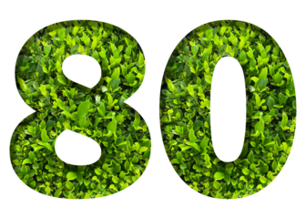 number 80 from green leaves  isolated on transparent background. suitable for birthday, anniversary and memorial day templates.