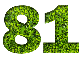 number 81 from green leaves isolated on transparent background. suitable for birthday, anniversary and memorial day templates.