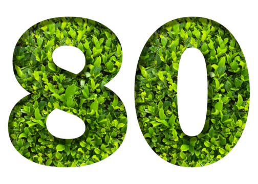 number 80 from green leaves  isolated on transparent background. suitable for birthday, anniversary and memorial day templates. - Powered by Adobe