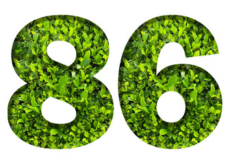 number 86 from green leaves  isolated on transparent background. suitable for birthday, anniversary and memorial day templates.