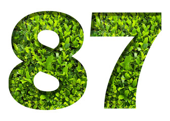 number 87 from green leaves  isolated on transparent background. suitable for birthday, anniversary and memorial day templates.