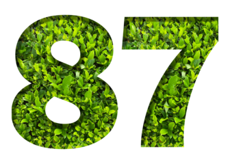 number 87 from green leaves  isolated on transparent background. suitable for birthday, anniversary and memorial day templates.
