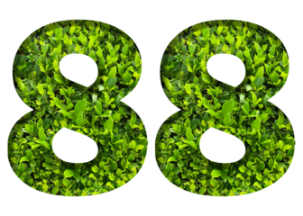 number 88 from green leaves isolated on transparent background. suitable for birthday, anniversary and memorial day templates.