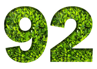 number 92 from green leaves  isolated on transparent background. suitable for birthday, anniversary and memorial day templates.