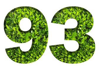number 93 from green leaves  isolated on transparent background. suitable for birthday, anniversary and memorial day templates.