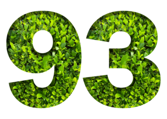 number 93 from green leaves  isolated on transparent background. suitable for birthday, anniversary and memorial day templates.