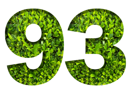 number 93 from green leaves isolated on transparent background. suitable for birthday, anniversary and memorial day templates.