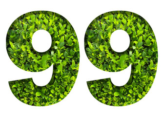 number 99 from green leaves  isolated on transparent background. suitable for birthday, anniversary and memorial day templates.