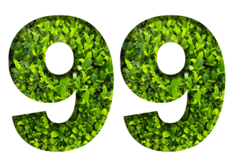 number 99 from green leaves  isolated on transparent background. suitable for birthday, anniversary and memorial day templates.