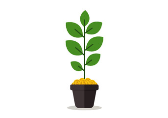 Plant growing in a pot filled with gold coins, symbolizing financial growth and investment.