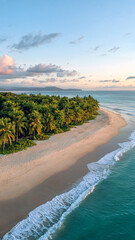 Peaceful tropical island coastline with palm trees and gentle sea waves