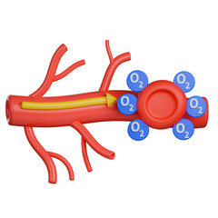 3D medical illustration of oxygen transportation. Red blood cell carries oxygen molecules inside an artery.