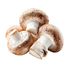 Fresh champignon mushrooms isolated on transparent background