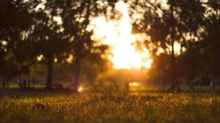 blurred. Tranquil park at sunset with warm golden hues, creating a peaceful natural landscape. inspiring travel planning, travel magazines, designed for travel destination branding.