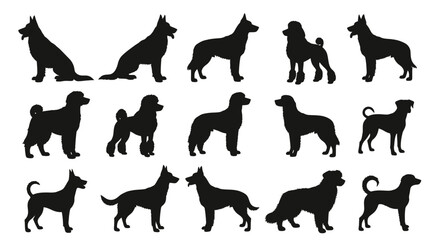 Fototapeta premium Dog Breed Silhouette Collection – 15 Distinct Profiles in Black on White Background