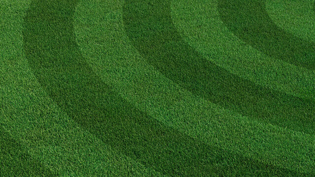 Green grass texture background. A perfectly manicured Sports field / Pitch / Garden Lawn with circular stripes.