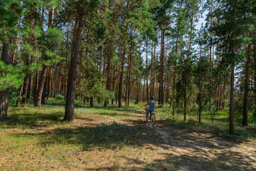 Obraz premium father riding a bike in summer forest with his baby daughter sitting in child seat