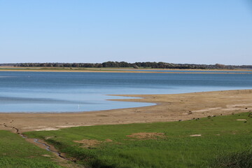 A white heron patiently waiting in the blue water of Lac du Der in France