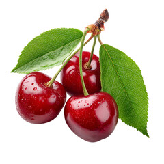 Red cherry fruits with leaves isolated on transparent background