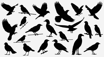 Obraz premium Collection of Black Bird Silhouettes in Various Poses – Minimalist Avian Icons on Light Gray Background