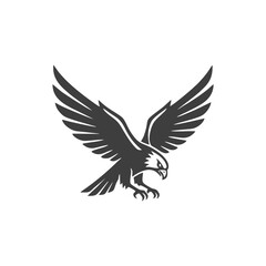 Obraz premium eagle elang.eps