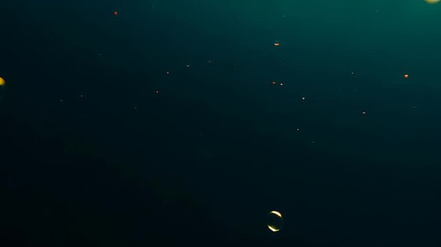 Adobe Stock Logo Animation
