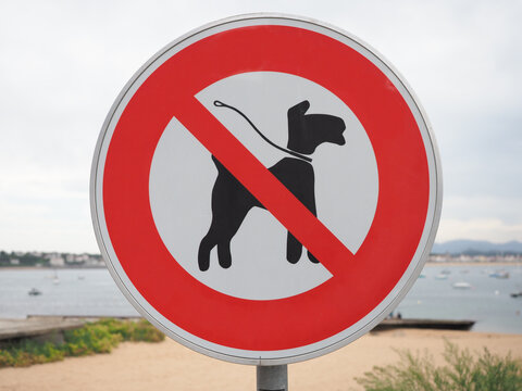 prohibido perros