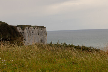 Steep white cliffs overlooking the calm sea at Étretat, Normandy. Majestic coastal landscape under a soft cloudy sky, symbolizing natural beauty and serenity.